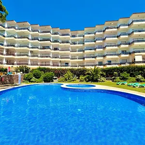Palm Tree With Pool By Homing Apartamento
